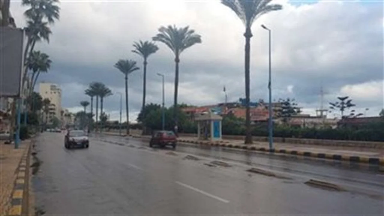 حالة الطقس غدًا: أمطار خفيفة وشبورة مائية وسط أجواء مائلة للدفء نهارًا